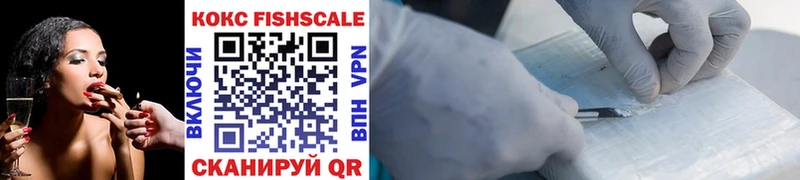 Купить закладки  Самара  Cocaine FishScale 