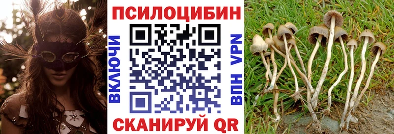 Псилоцибиновые грибы Magic Shrooms  Купить закладки  Самара 