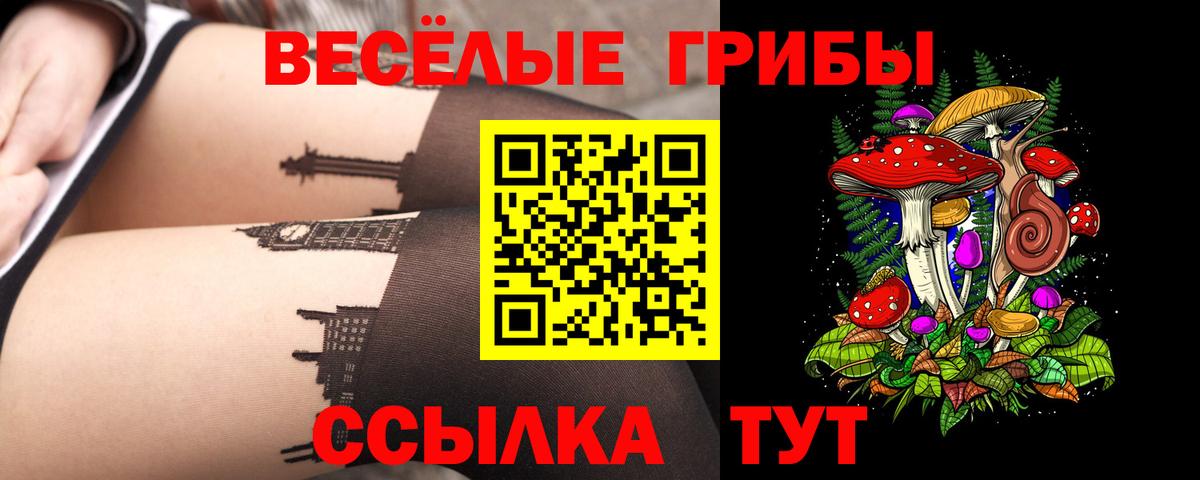Галлюциногенные грибы мицелий Самара