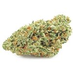 Шишки OG Kush  (Гидропоника, бошки) VHQ в Самаре
